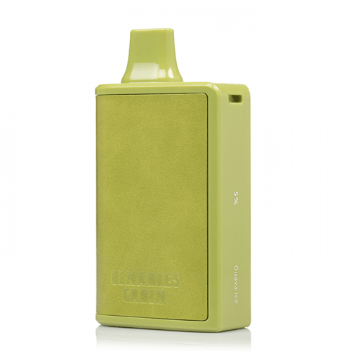 HorizonTech Binaries Cabin Disposable Vape Guava Ice Flavor